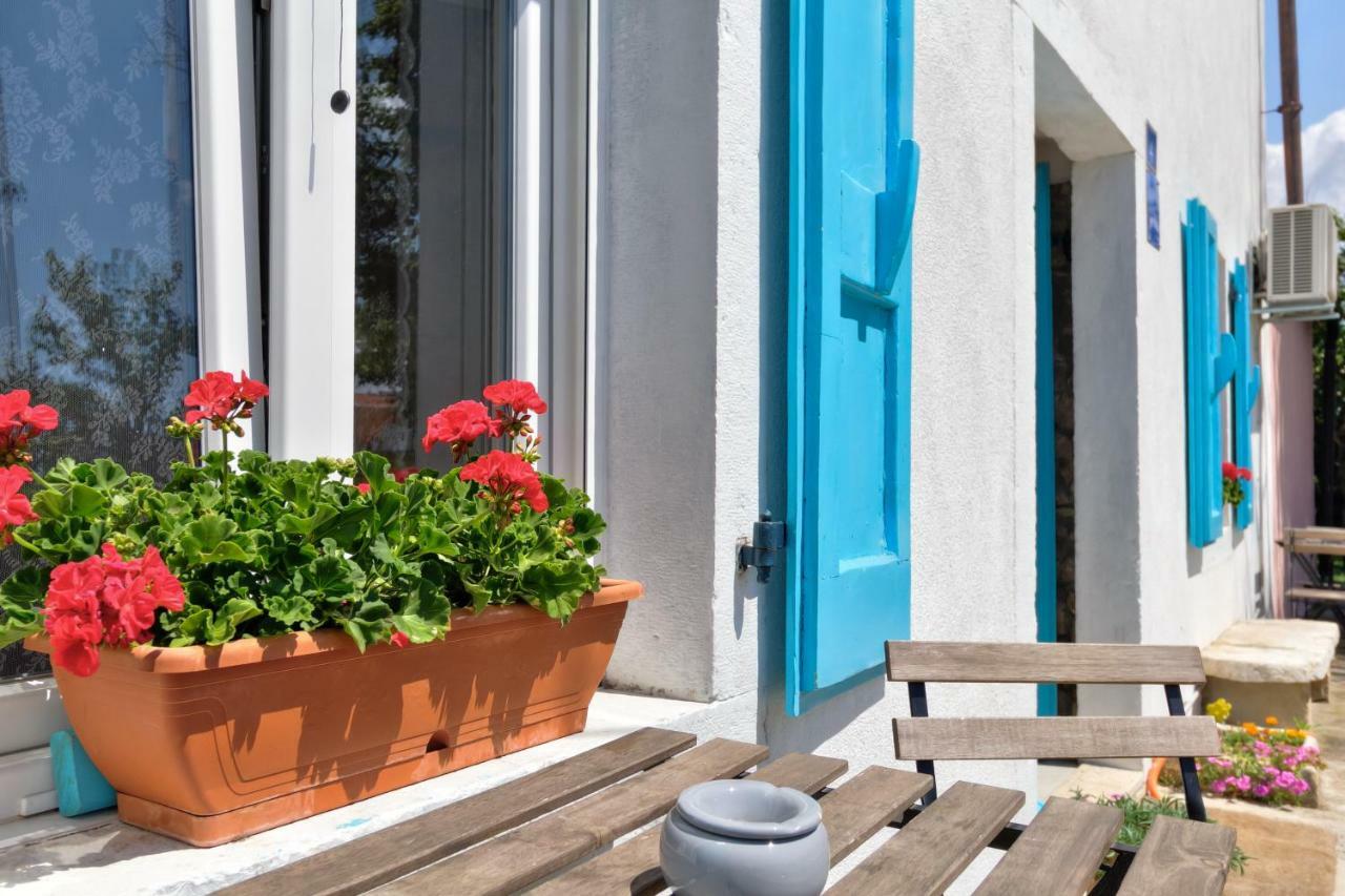 Apartmani Anna Umago Exterior foto